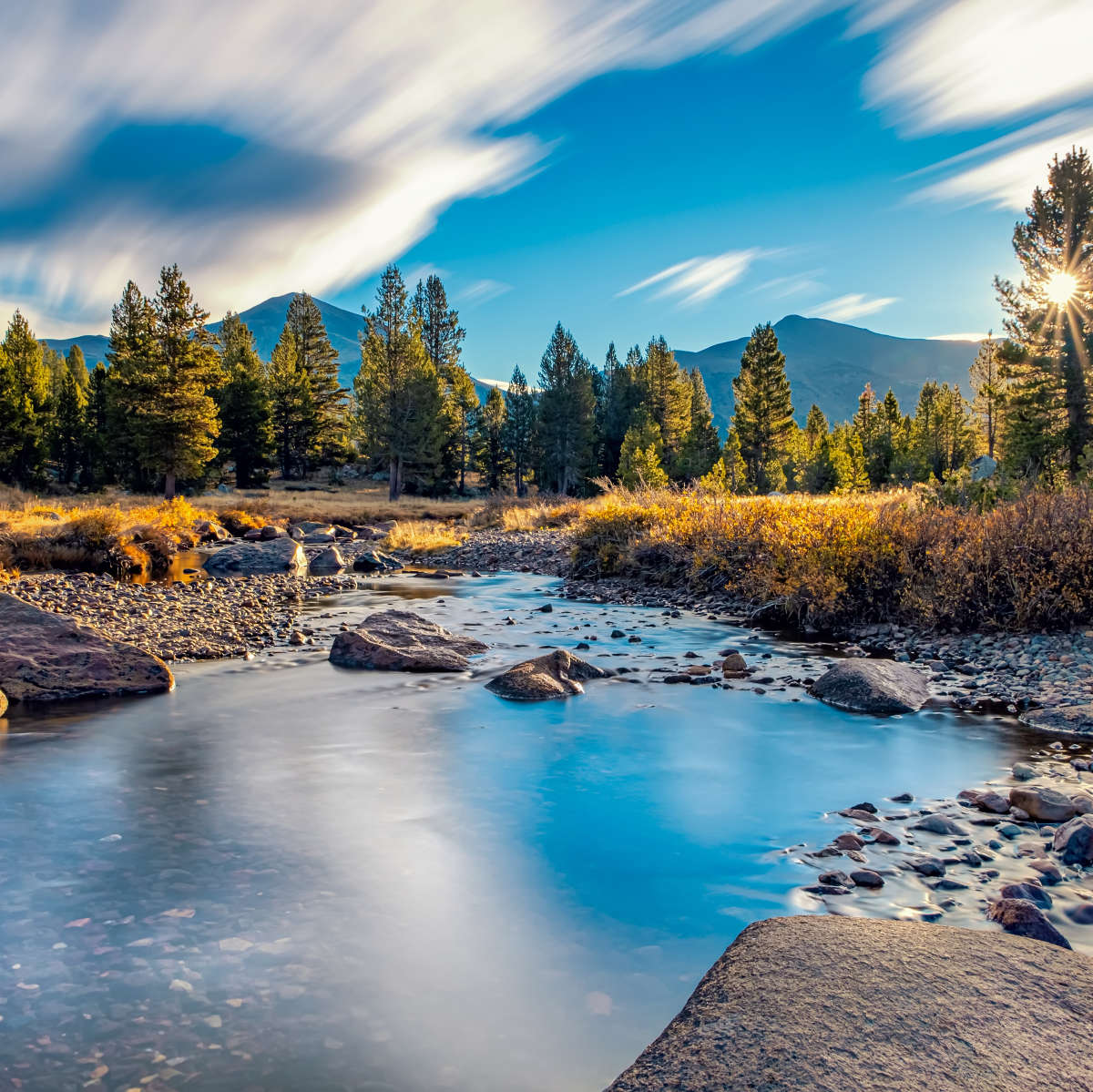 Yosemite River Stream Wall Art