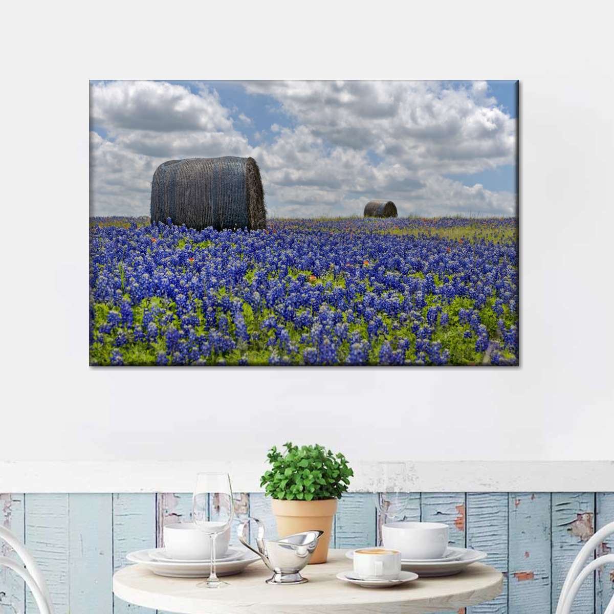 Texas Bluebonnets Wall Art