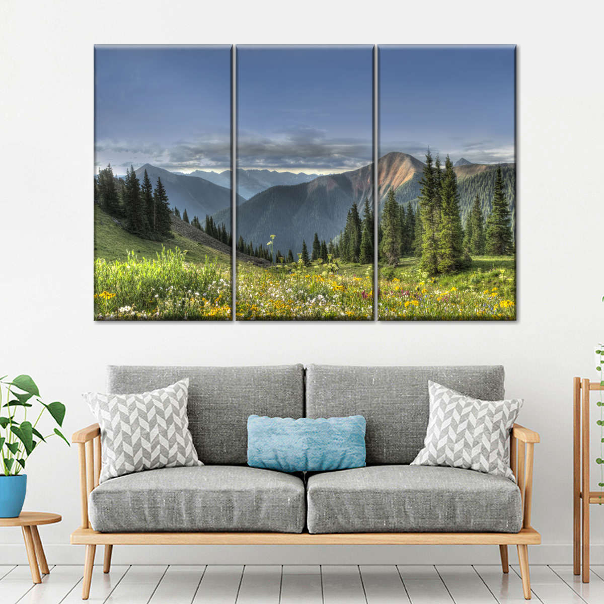 Rocky Mountain National Park Meadow Wall Art