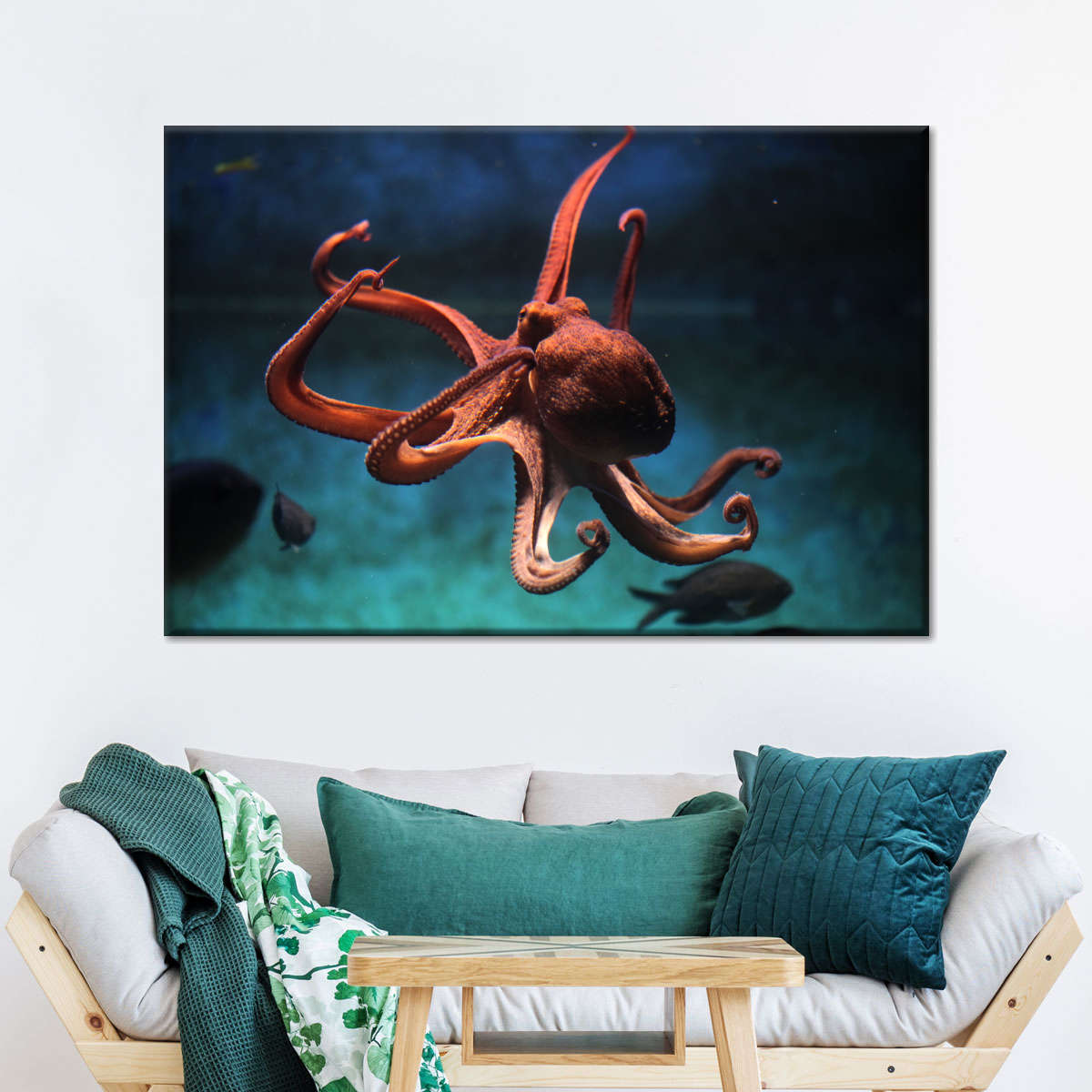 Octopus Vulgaris Wall Art