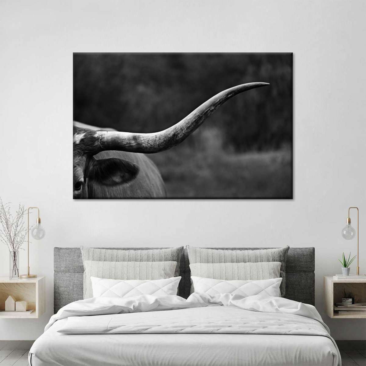 Texas Longhorn Cattle Wall Art