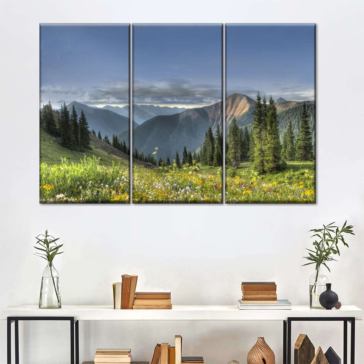 Rocky Mountain National Park Meadow Wall Art