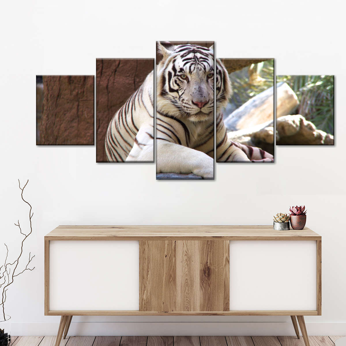 Resting White Tiger Wall Art