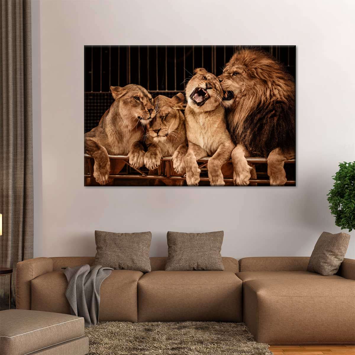 Pride Of Lions Wall Art