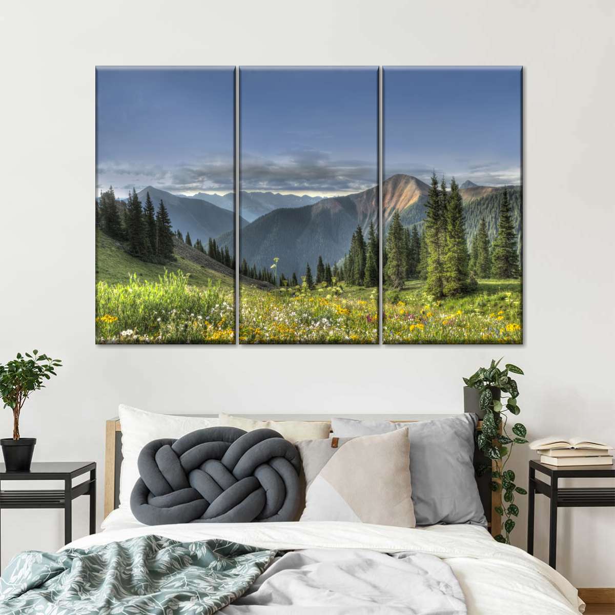 Rocky Mountain National Park Meadow Wall Art