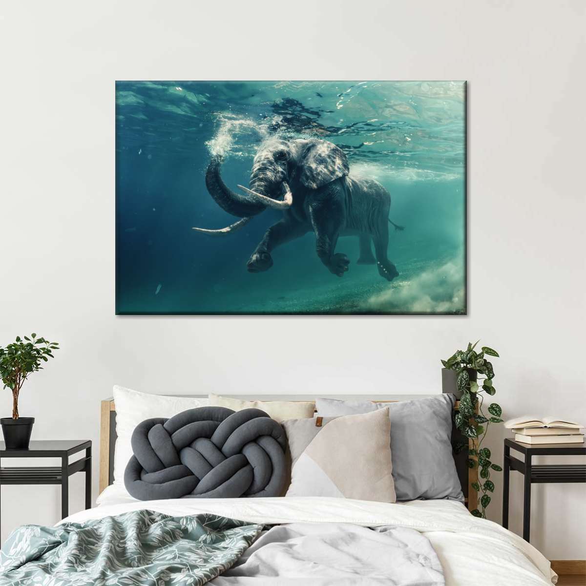 Swimming Elephant Wall Art