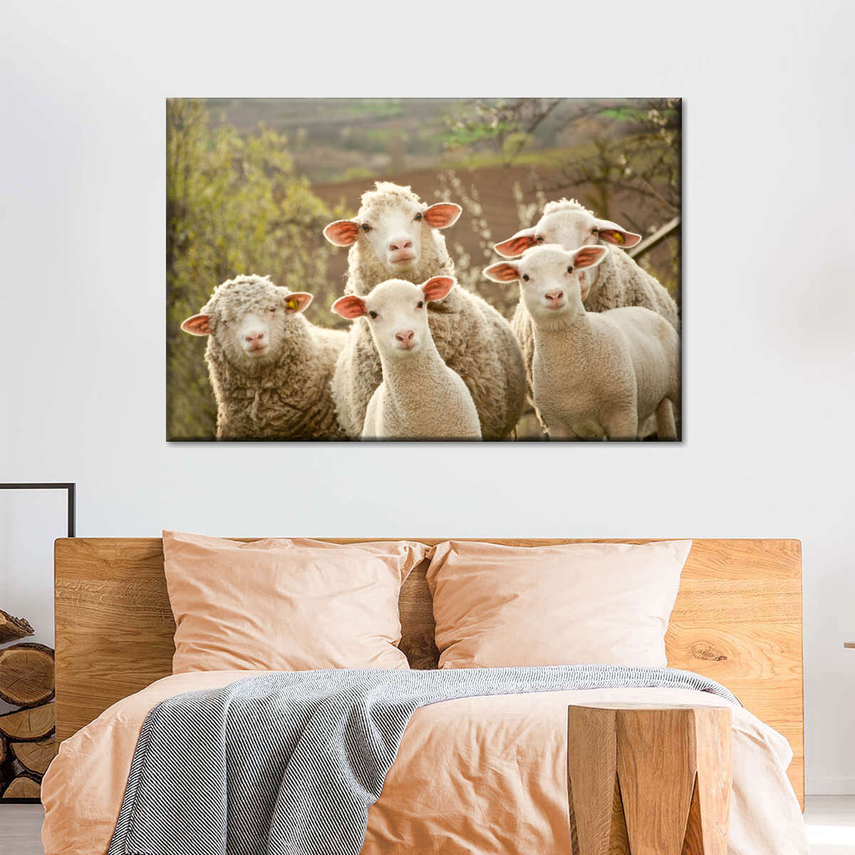 Stunned Sheep Wall Art