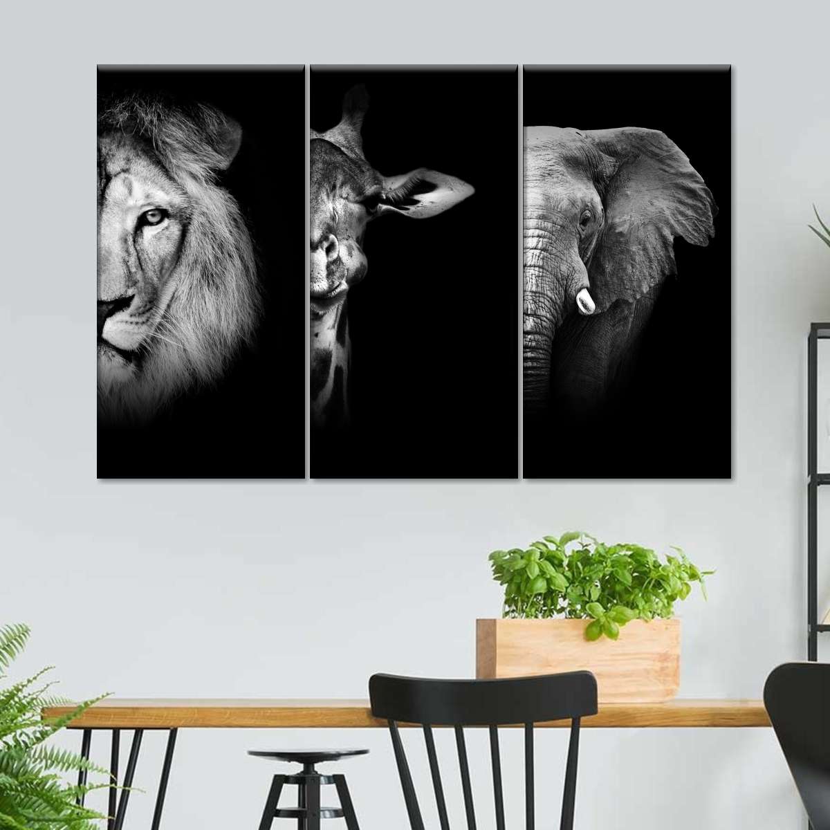 Safari Animal Portraits Wall Art