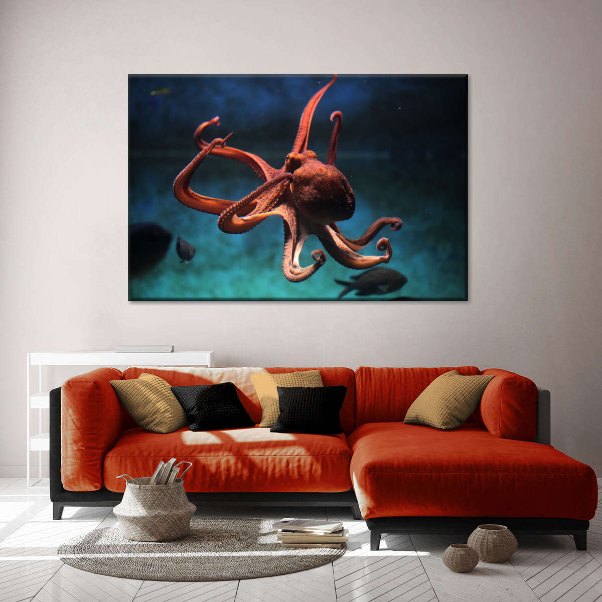 Octopus Vulgaris Wall Art