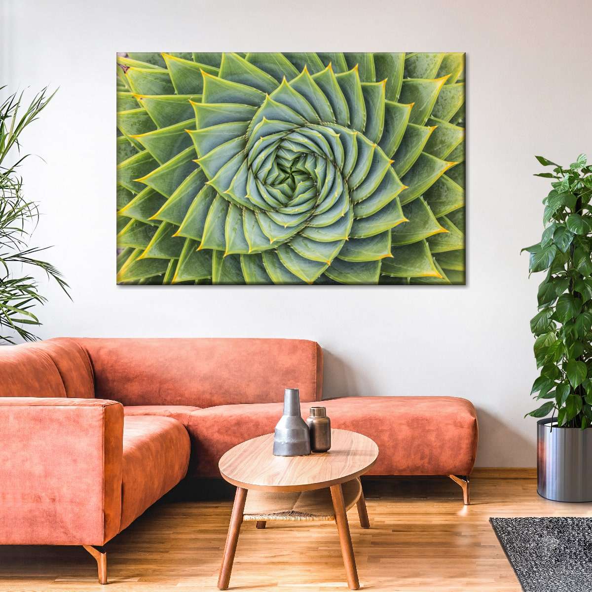 Spiral Succulent Wall Art