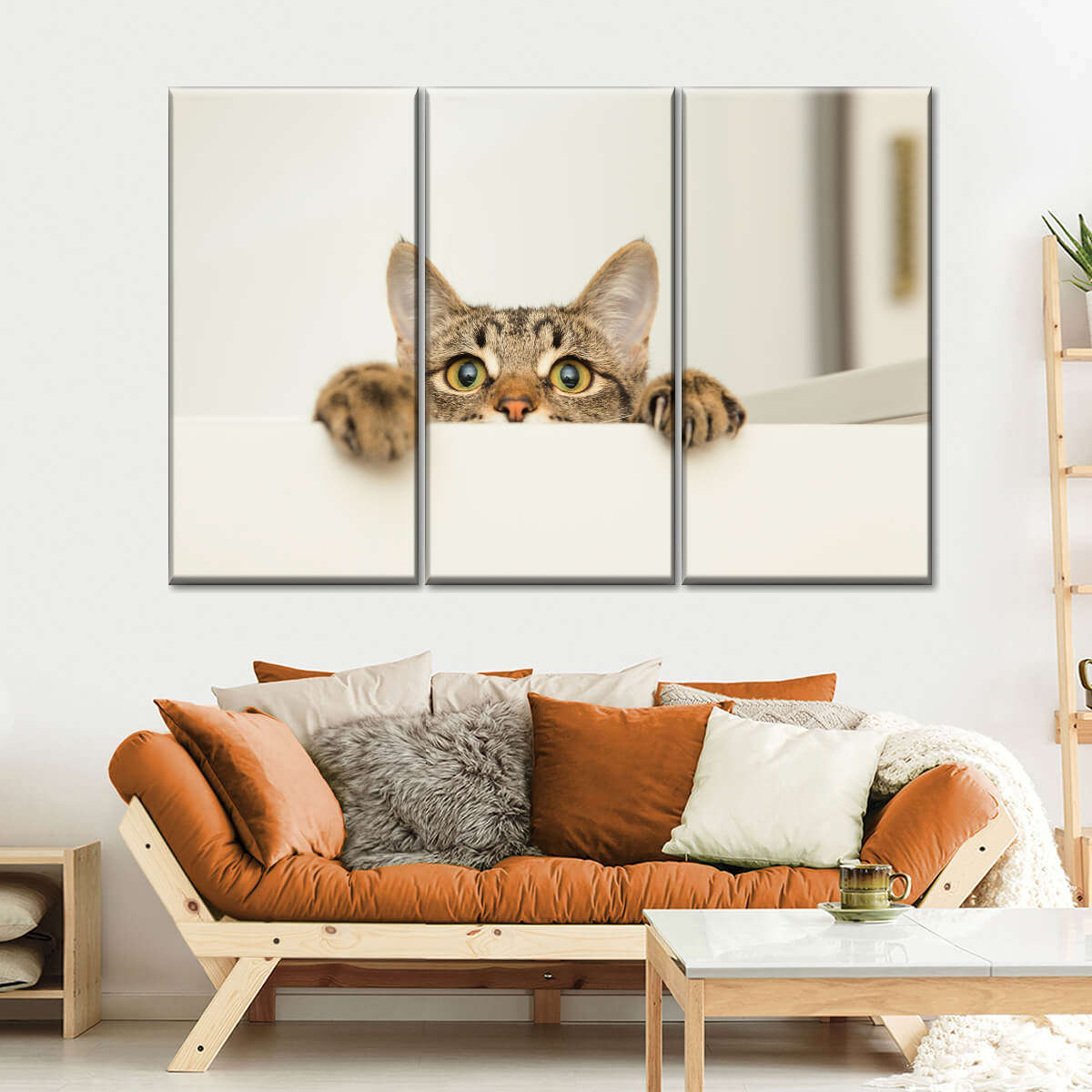 Peeking Young Cat Wall Art