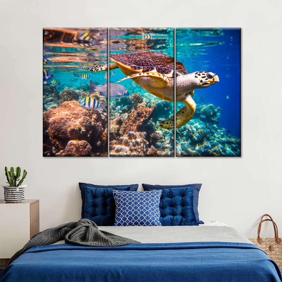 Vivid Sea Life Wall Art