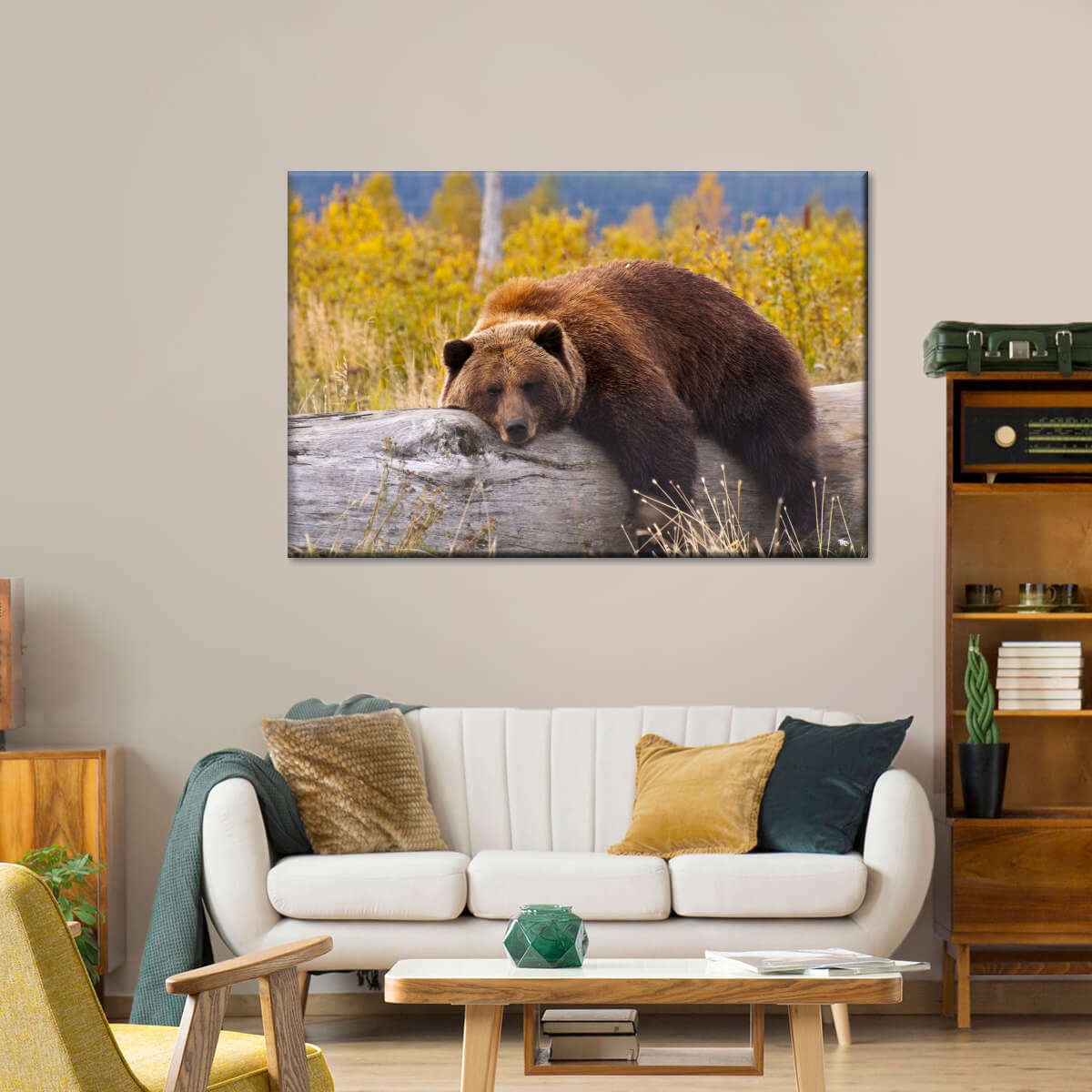 Resting Grizzly Bear Wall Art