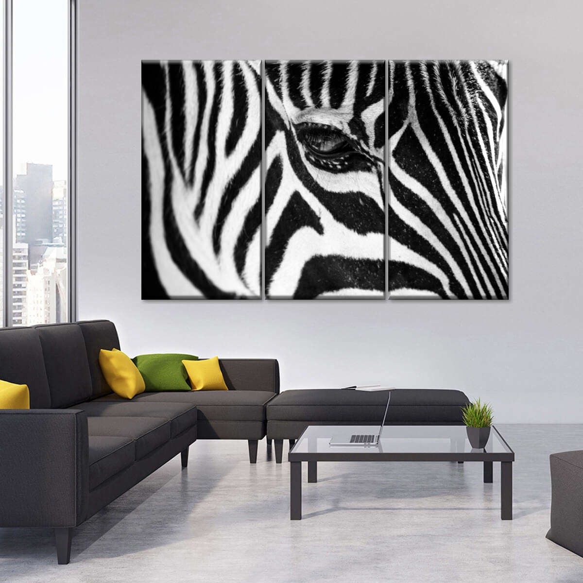 Zebra Eye Wall Art