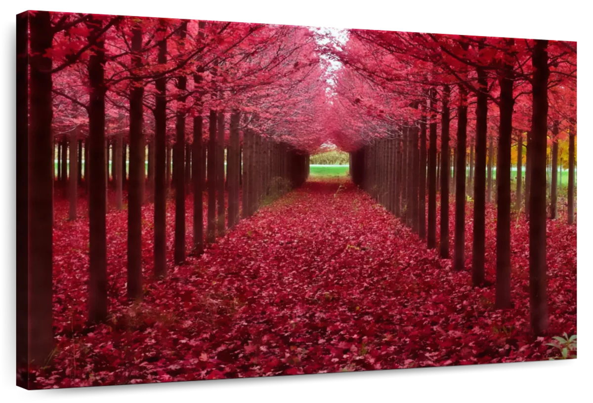 Red Forest Wall Art