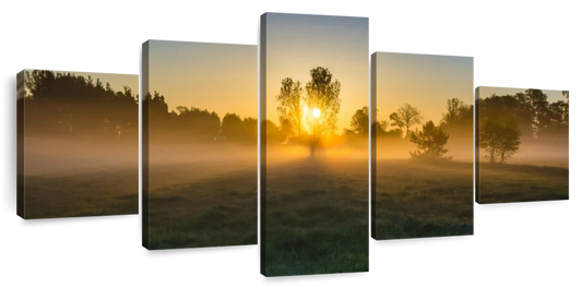 Misty Meadow At Sunrise Wall Art