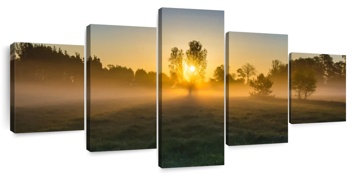 Misty Meadow At Sunrise Wall Art