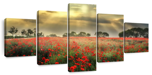 Scandinavian Poppy Field Wall Art