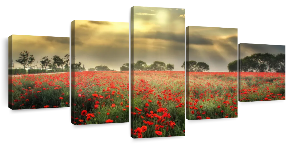 Scandinavian Poppy Field Wall Art