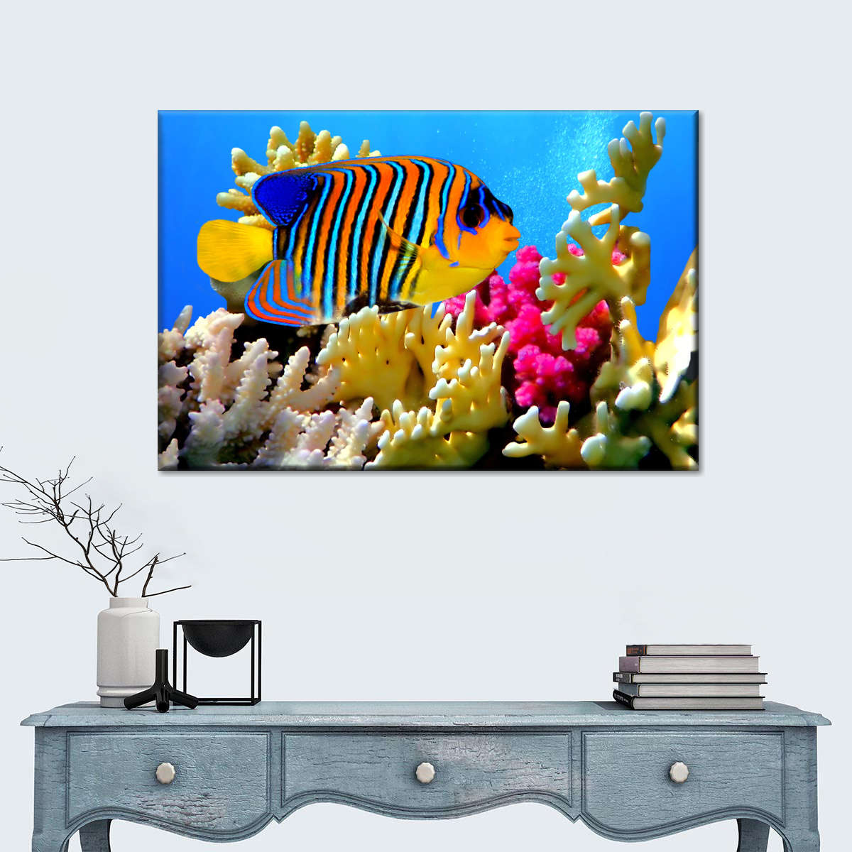 Queen Angelfish Wall Art