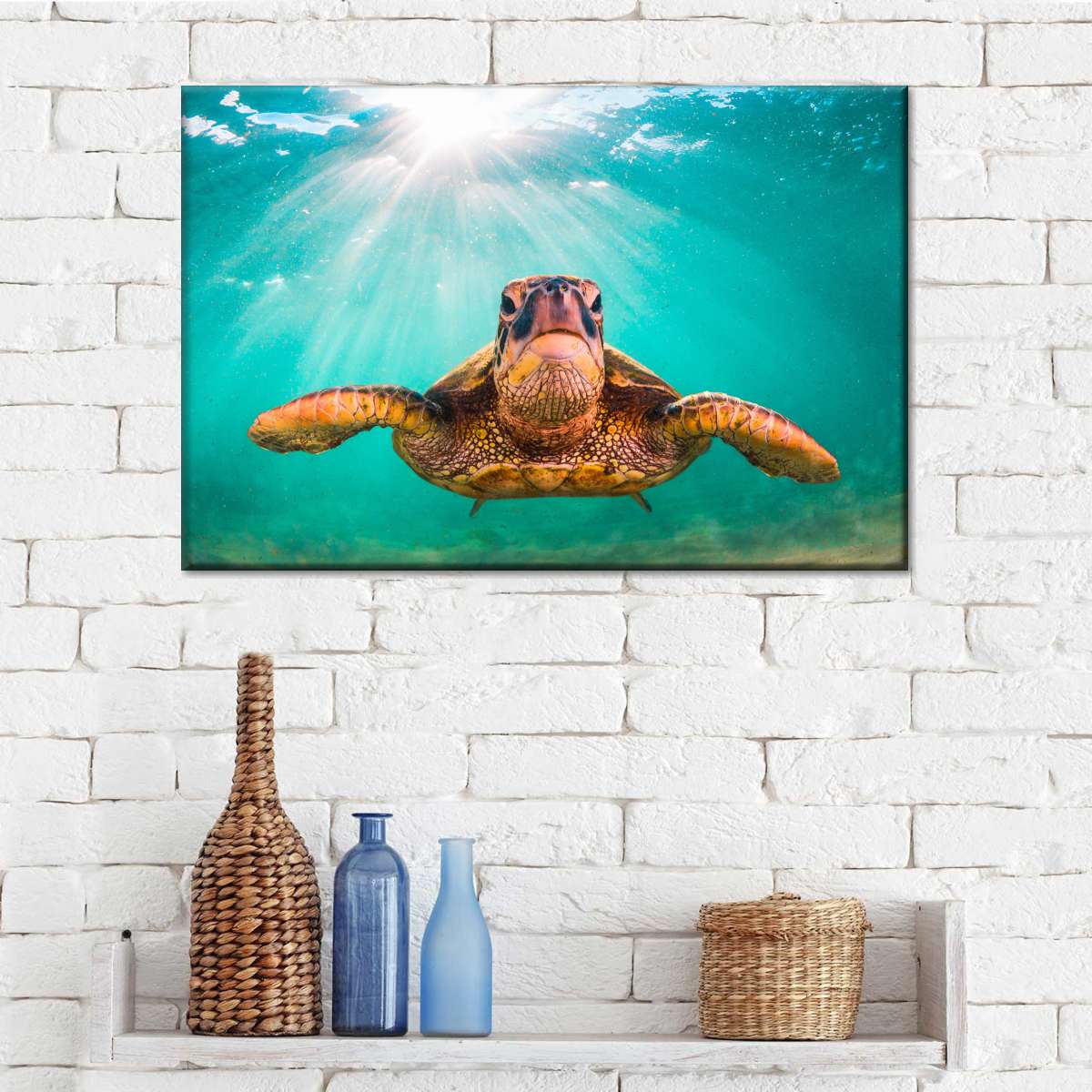 Maui Green Turtle Wall Art