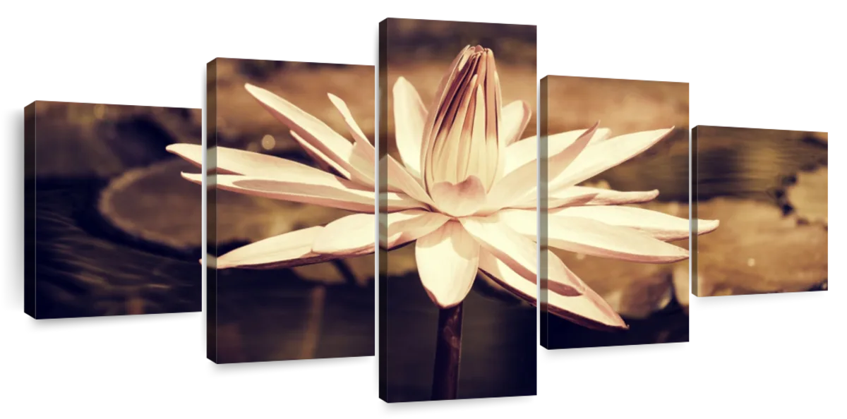 Sepia Lotus Flower Wall Art