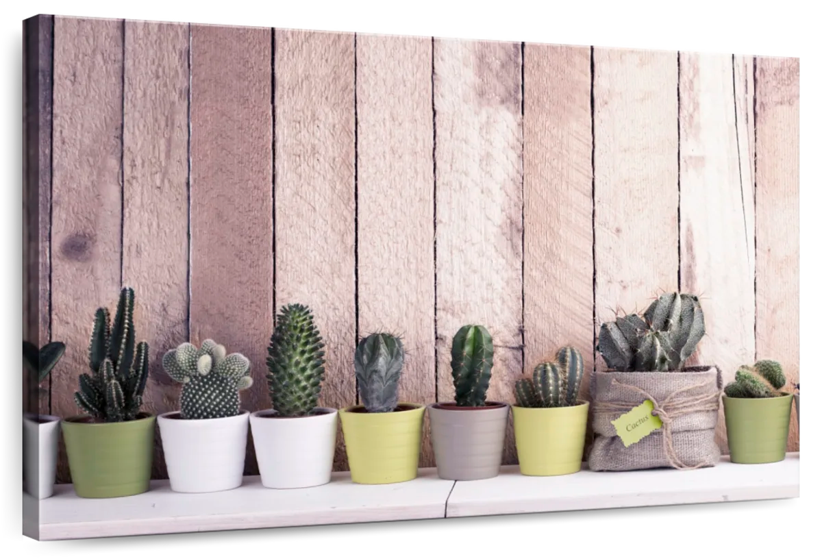 Succulent Plant Pots Wall Art