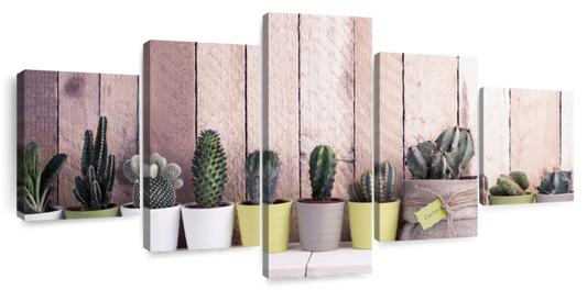 Succulent Plant Pots Wall Art