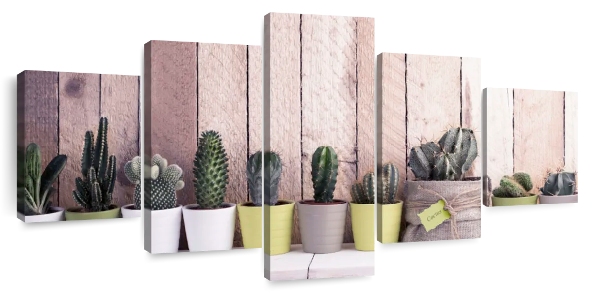 Succulent Plant Pots Wall Art