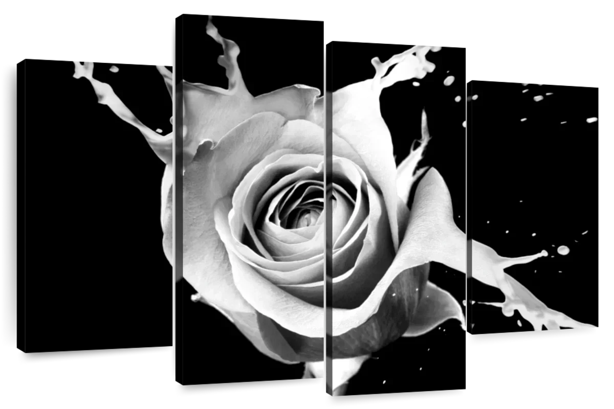 Rose Splash Wall Art