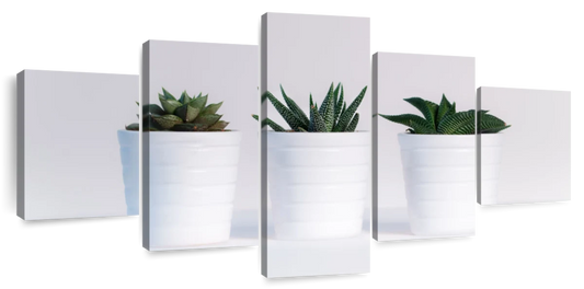 Three Succulents Wall Art