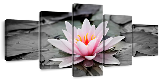 Lotus Flower Wall Art