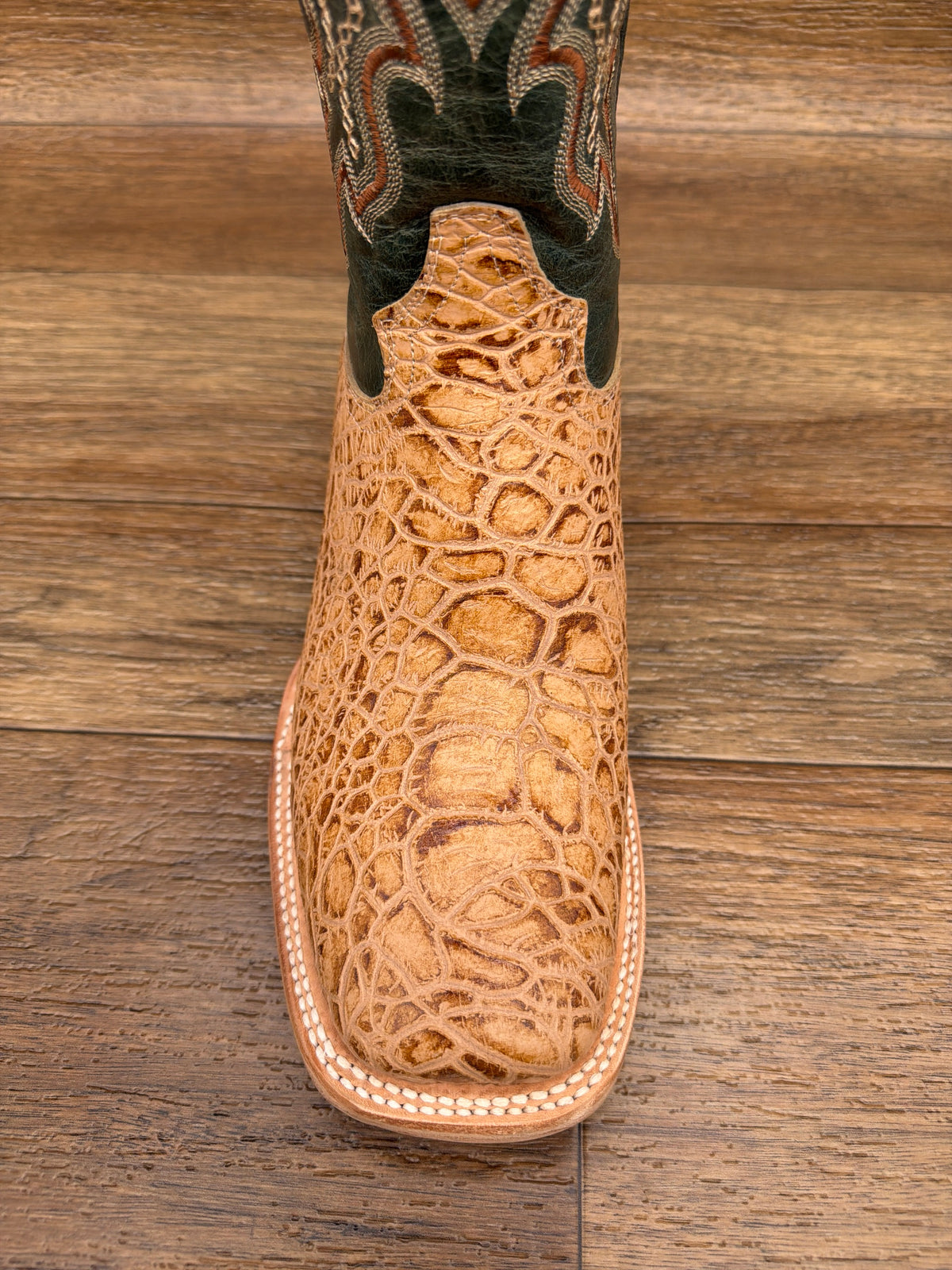 Q6042 Men's Sea Turtle Print Western Boot by Cowtown