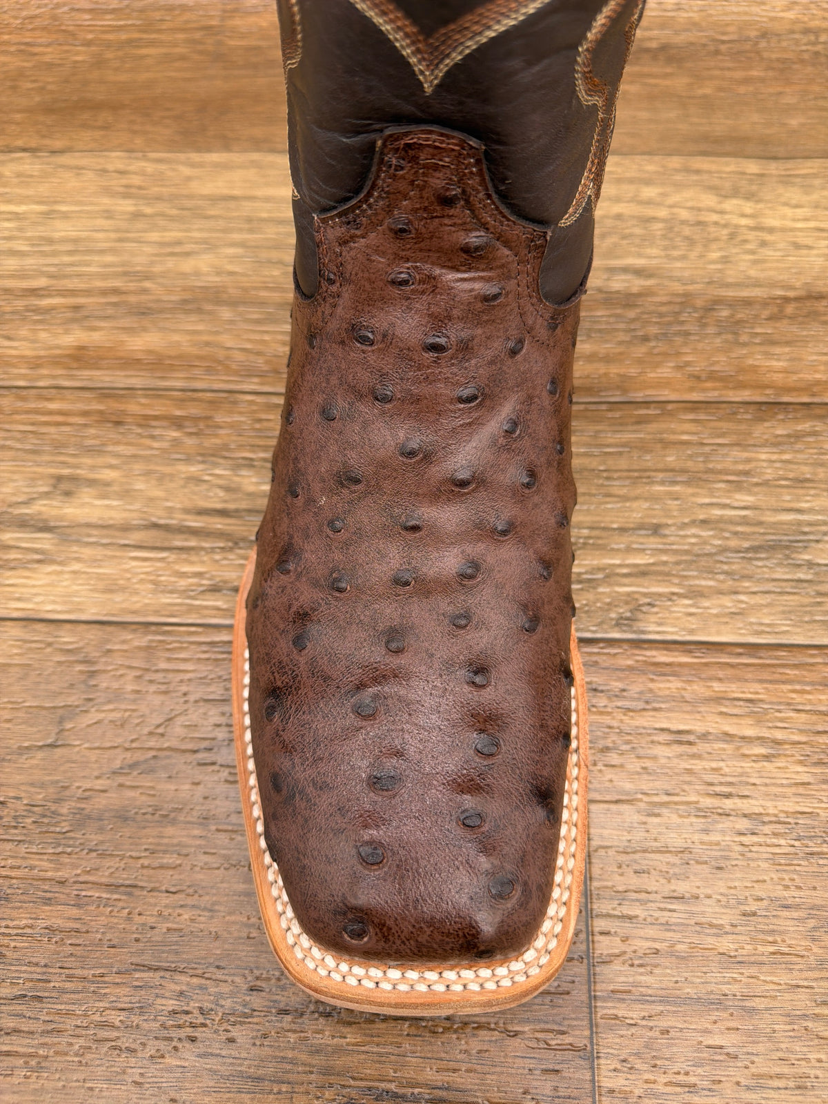 Q6073 Men's Ostrich Print Western Boot by Cowtown - toe detail