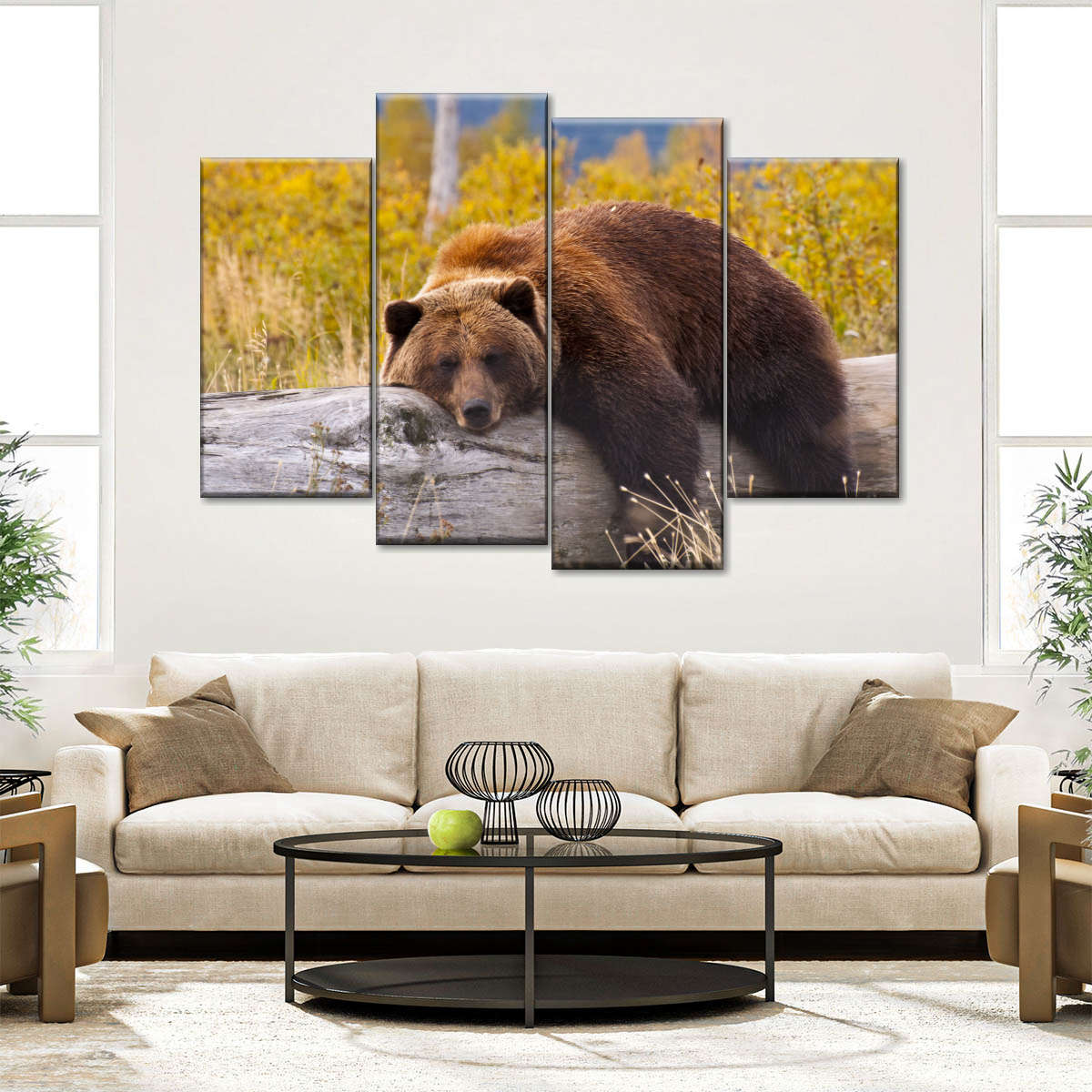 Resting Grizzly Bear Wall Art