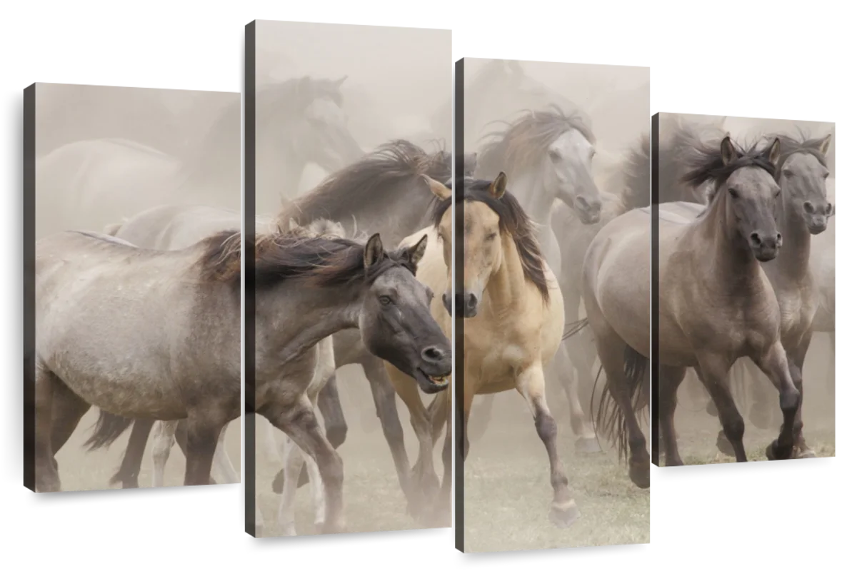 Wild Horse Stampede Wall Art