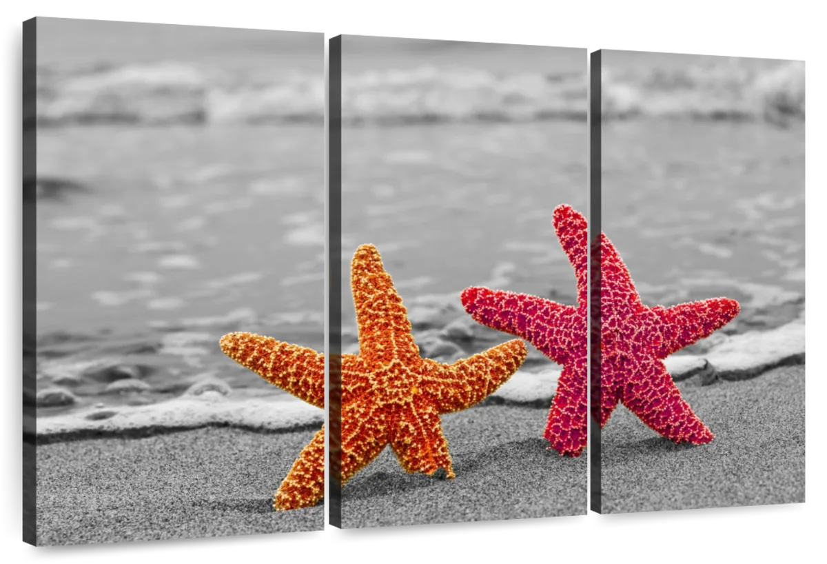 Nautical Starfish Duo Wall Art