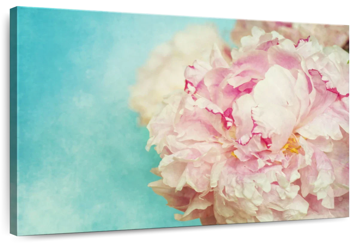 Lovely Peony Wall Art