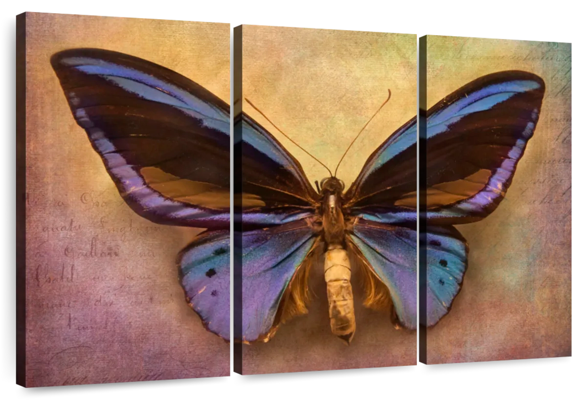 Purple Butterfly Wall Art