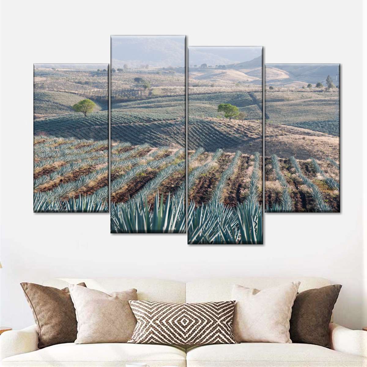 Tequila Jalisco Agave Field Wall Art