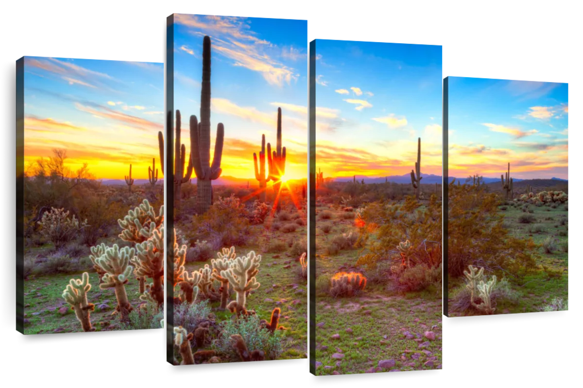 Sonoran Desert Sunset Landscape Wall Art