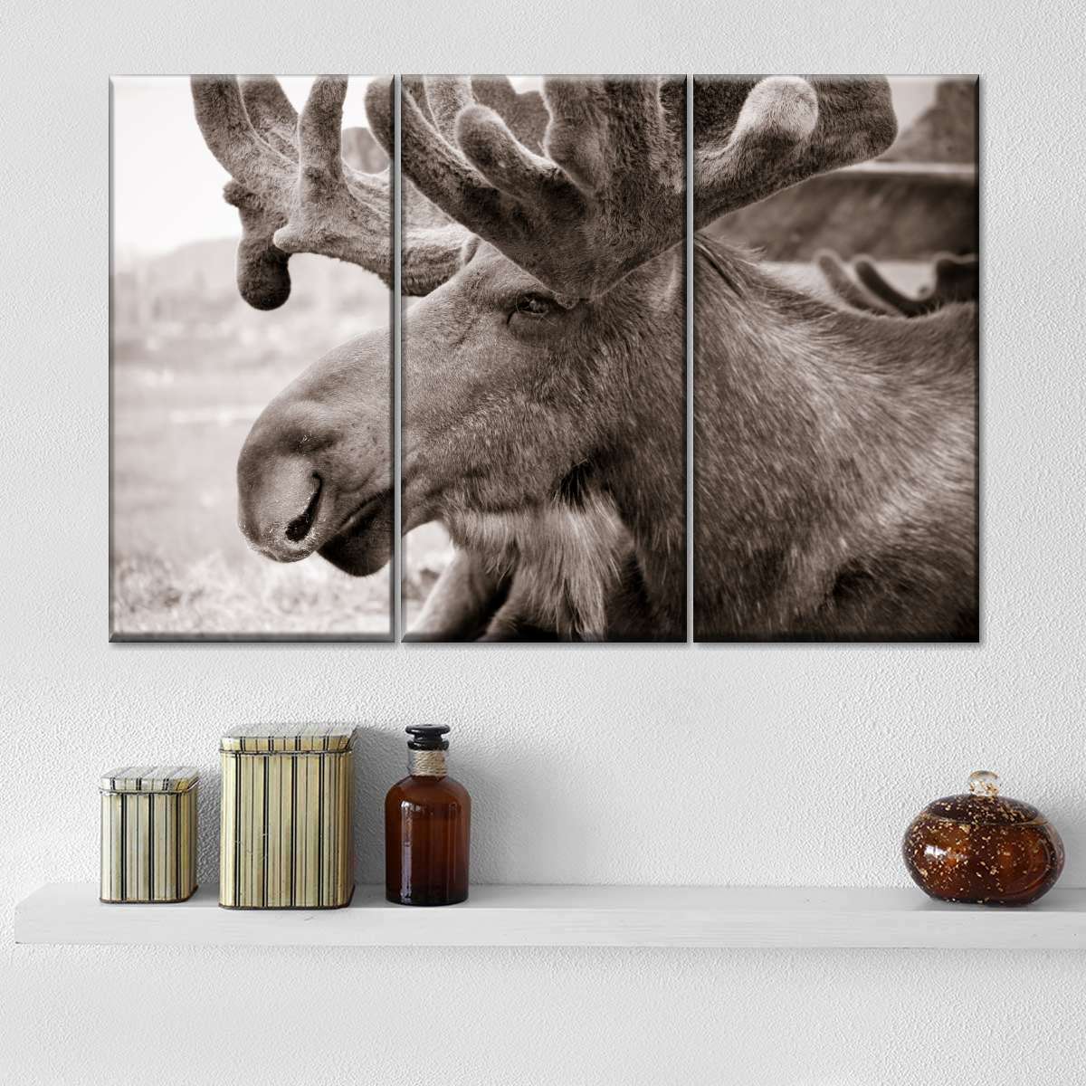 Moose Head Wall Art