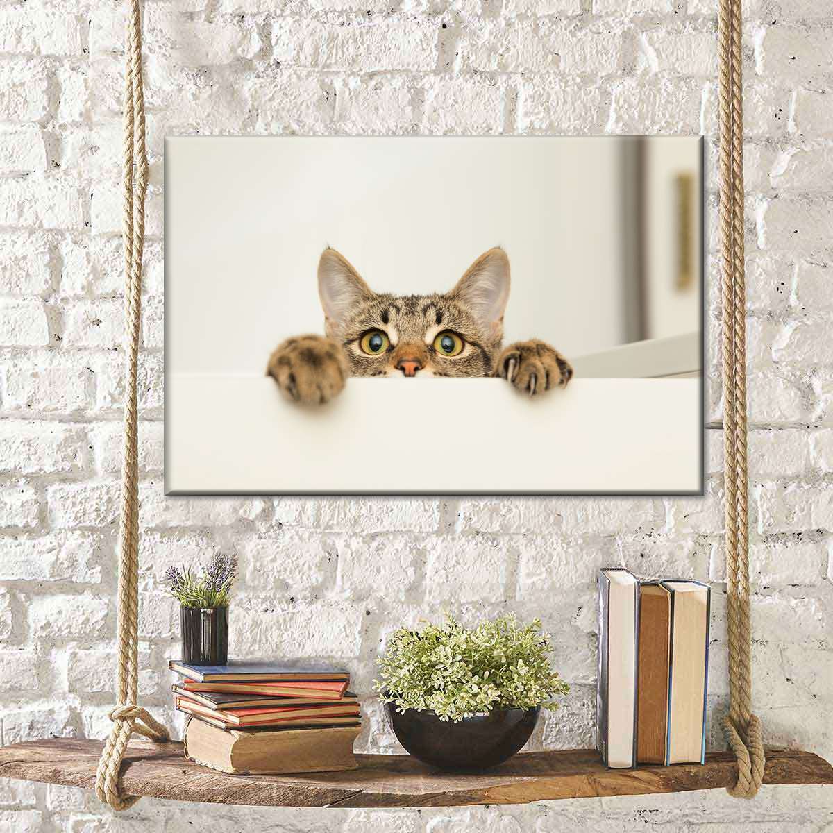 Peeking Young Cat Wall Art