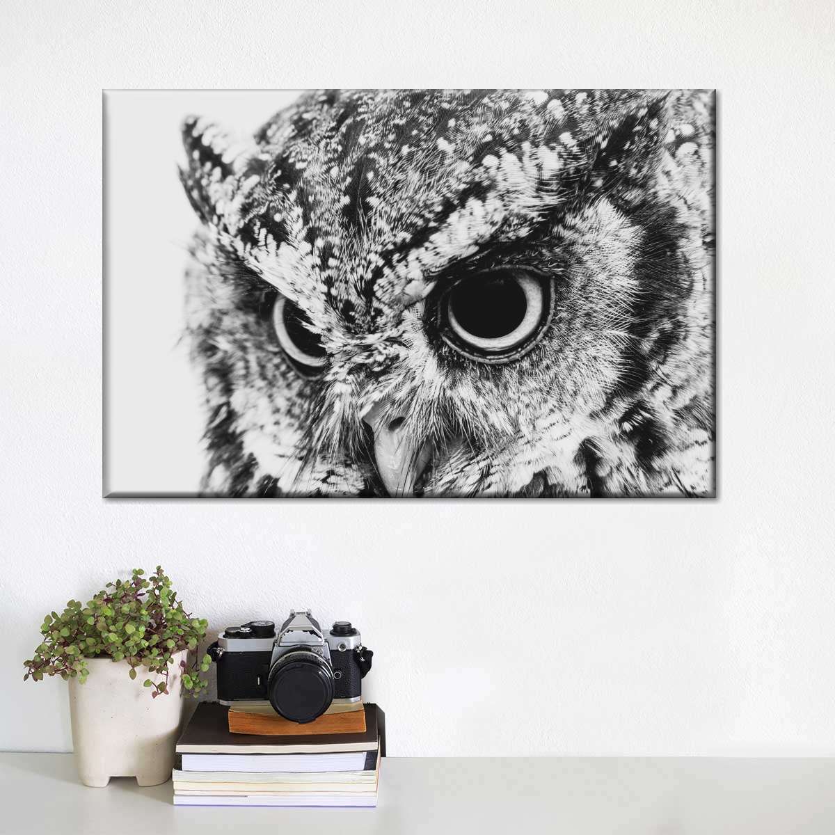 Staring Owl Wall Art