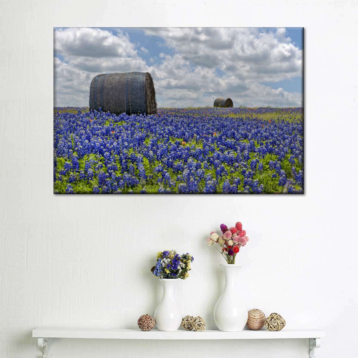 Texas Bluebonnets Wall Art