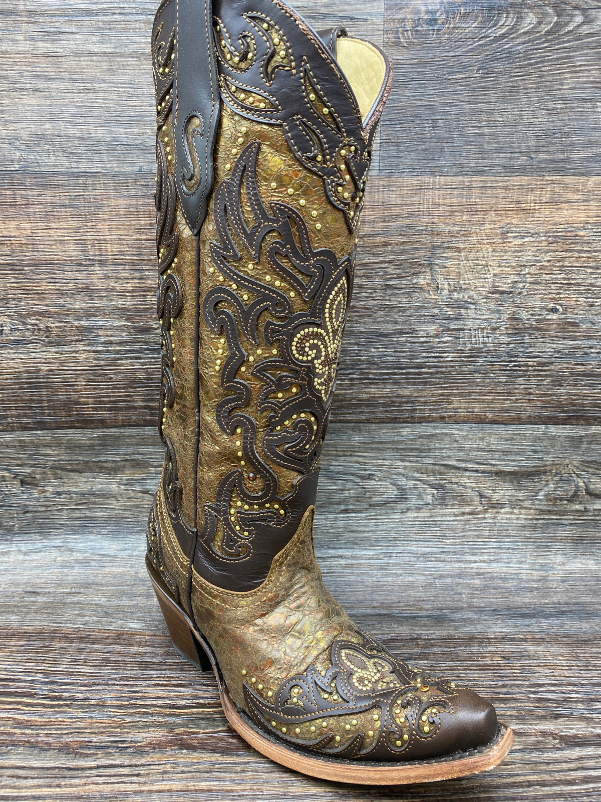 c2826 Women