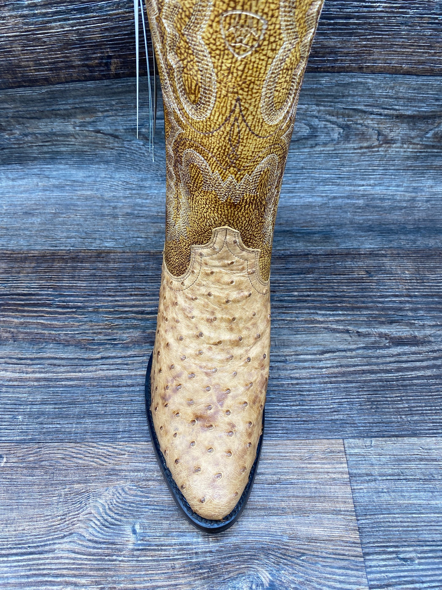 10029722 Men's Circuit R Toe Full Quill Exotic Western Boot by Ariat